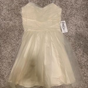 NWT mesh mini dress